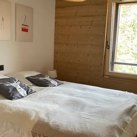 Moderne Avec Parking - 5 Pers. - Fr-1-836-75 Appartement Les Carroz d'Arâches